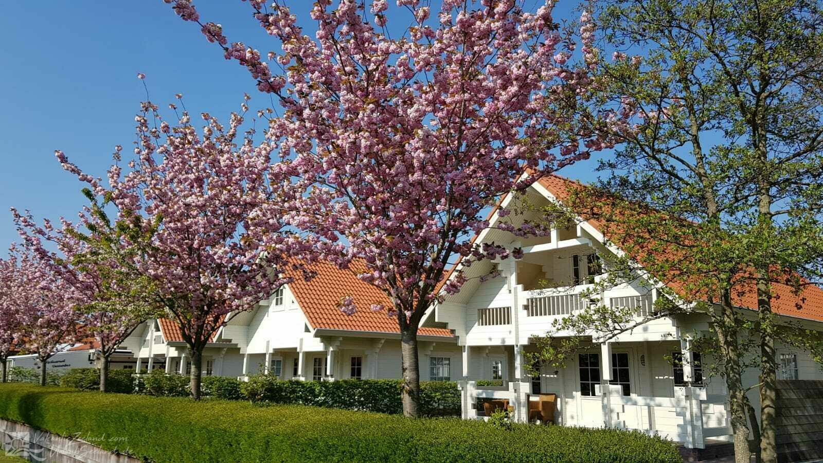 Vakantiezeeland.com VZ982 Vrijstaand vakantiehuis in Oostkapelle - Nederland - Zeeland - Oostkapelle