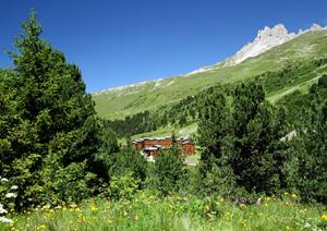 Bungalow.Net Les Crêts 3p 6p Classic - Frankrijk - Meribel Mottaret