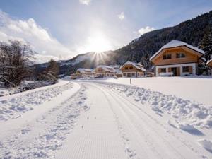 Chalet.nl Chalet Riesneralm Auerhahn - 10 personen - Oostenrijk - Riesneralm - Donnersbachwald