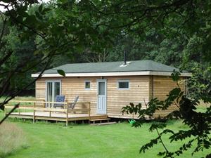 Heerlijkehuisjes.nl Heerlijk 2 persoons chalet midden in de natuur van Dwingeloo - Nederland - Europa - Dwingeloo