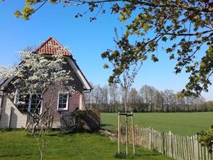 Heerlijkehuisjes.nl Rustig gelegen 4 persoons vakantiehuis met prachtig uitzicht en zwemvijver in Valthe - Nederland - Europa - Valthe