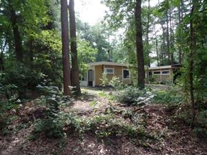 Heerlijkehuisjes.nl Leuke 4 persoons bungalow op rustige locatie in het bos in Drenthe - Nederland - Europa - Doldersum
