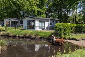 Heerlijkehuisjes.nl Luxe 4 persoons chalet in Steenwijk - Nederland - Europa - De-Bult