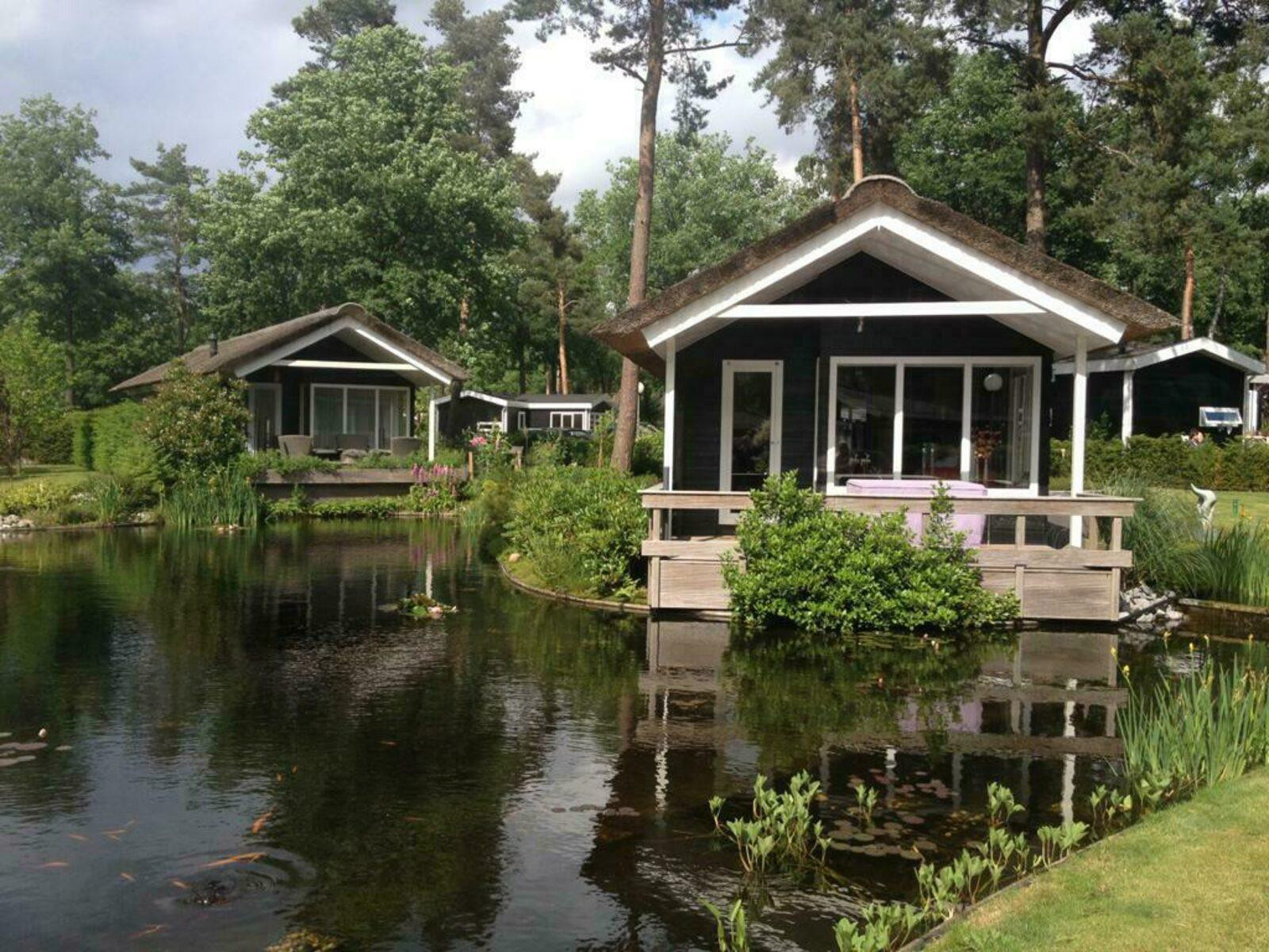 Heerlijkehuisjes.nl Luxe 4 persoons Lodge op een familiepark nabij Markelo - Twente - Nederland - Europa - Markelo