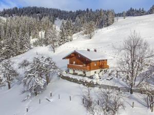 Chalet.nl Chalet Schüttbach - 9-12 personen - Oostenrijk - Ski Amadé - Salzburger Sportwelt - Wagrain