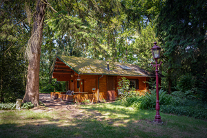 Bungalow.Net Natuurhuisje aan Duinrand - Nederland - Soest