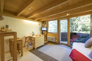 Bungalow.Net Résidence Grand Roc - Ancolies 104 - Frankrijk - Chamonix