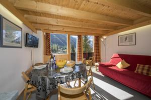 Bungalow.Net Résidence Grand Roc - Ancolies 213 - Frankrijk - Chamonix