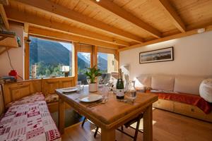 Bungalow.Net Résidence Grand Roc - Campanules 213 - Frankrijk - Chamonix