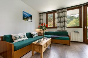 Bungalow.Net Chamonix Sud - Jonquilles 38 - Frankrijk - Chamonix