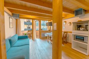 Bungalow.Net Résidence Grand Roc - Campanules 322 - Frankrijk - Chamonix
