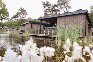 Heerlijkehuisjes.nl Luxe zespersoons Eco-Lodge op de Utrechtse Heuvelrug - Nederland - Europa - Rhenen