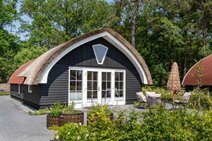 Heerlijkehuisjes.nl Gezellig 6 persoons vakantiehuis met sauna midden in de bossen nabij Giethoorn - Nederland - Europa - Baars