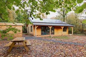 Heerlijkehuisjes.nl Luxe 4-persoonsvakantiehuis met sauna en bubbelbad, natuurrijk gelegen in Westerbork - Nederland - Europa - Westerbork