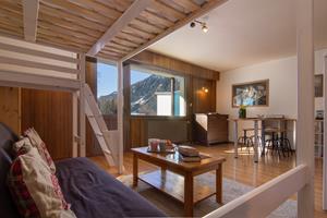 Bungalow.Net Apt. La Larze 58 - Frankrijk - Chamonix