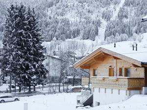 Chalet.nl Chalet-appartement Wildenbach Panoramablick - 4 personen - Oostenrijk - Ski Juwel Alpbachtal Wildschönau - Niederau