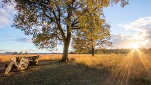 Traveldeal.nl Hotel De Oringer Marke - Nederland - Drenthe - Odoorn