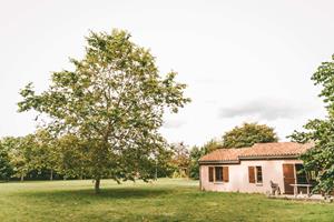 Bungalow.Net Moncontour 3p 4/6pers Gite - Frankrijk - Moncontour