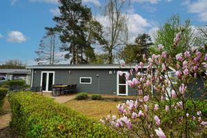 Heerlijkehuisjes.nl Basic 6 persoons chalet op vakantiepark Maasduinen met natuurmeer en zandstrand. - Nederland - Europa - Belfeld