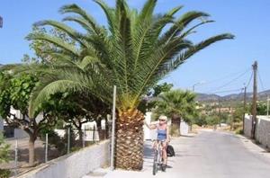 Fital.nl Fietsvakantie Kefalonia en Ithaka 8D - Griekenland