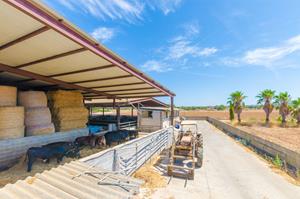 Bungalow.Net Sa Caseta De Ses Vaques.son Covas - Spanje - Campos