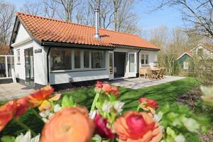Bungalow.Net F.House - Vebenabos 14 | Dishoek Bos e - Nederland - Dishoek