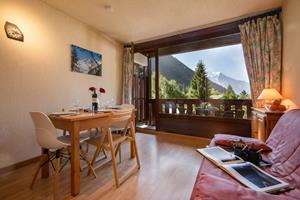 Bungalow.Net Résidence La Verte 15 ski in/ski out - Frankrijk - Chamonix