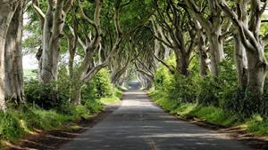 Traveldeal.nl The Quarter by Warren Collection - Verenigd Koninkrijk - Ulster - Belfast