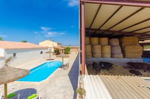 Bungalow.Net Sa Caseta De Ses Vaques.son Covas (Sa Vaqueria 2) - Spanje - Campos