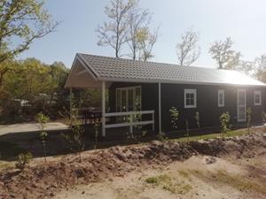 Heerlijkehuisjes.nl Rustig gelegen 4 persoons Lodge met uitzicht op de bossen in Balkbrug - Nederland - Europa - Balkbrug