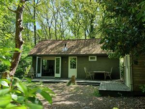 Heerlijkehuisjes.nl Bosrijk 5-persoons vakantiehuis met infrarood sauna, rustig gelegen in Mariënberg - Nederland - Europa - Marienberg