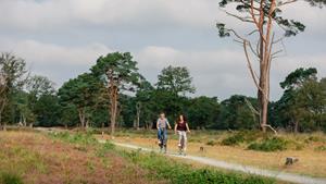 Traveldeal.nl Fietsvakantie rondje Drenthe - Nederland - Drenthe - Zuidlaren