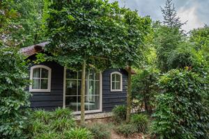 Bungalow.Net Heivlinder Comfort 4p - Nederland - Ermelo