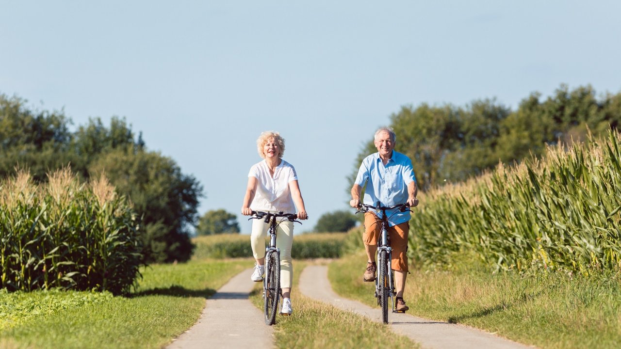 Traveldeal.nl 't Schippershuis - Nederland - Friesland - Terherne