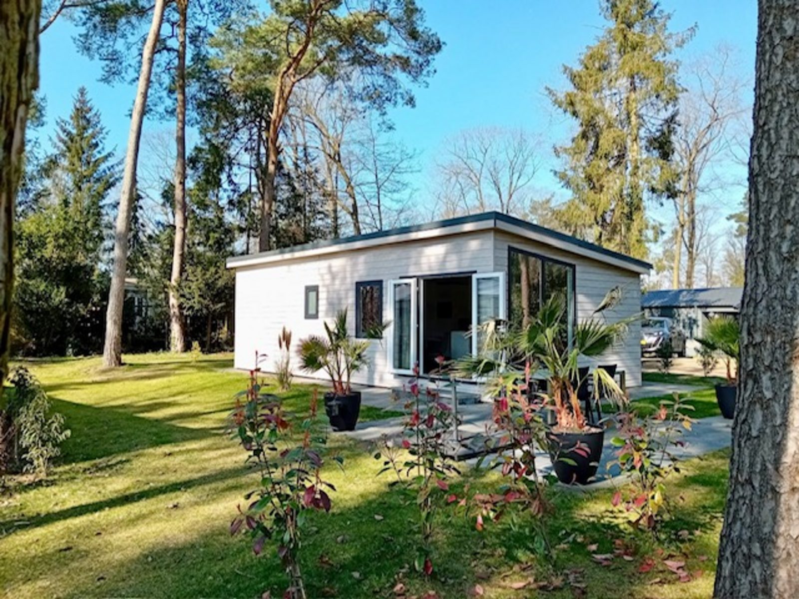 BoekUwBuitenhuis.nl Boslodge De Mooie Plek - 3 personen - Nederland - Overijssel - Markelo