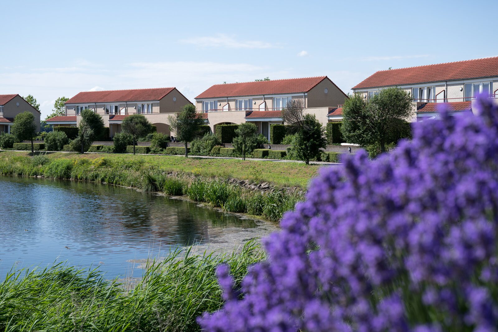 Boschmolenplas.nl Havenwoning | 2-6 Pers. - Nederland - Limburg - Heel