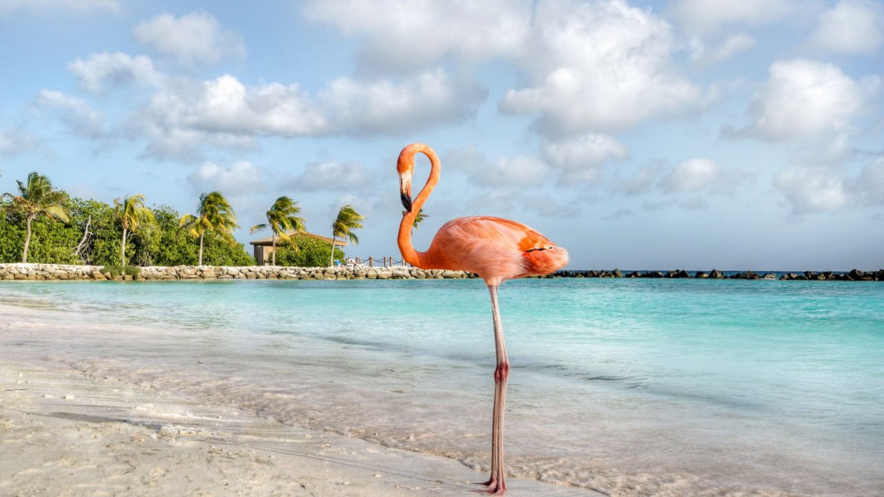 Traveldeal.nl Holland America Line - Zuidelijke Caribbean cruise en ABC-eilanden - Verenigde Staten - Florida - Fort Lauderdale