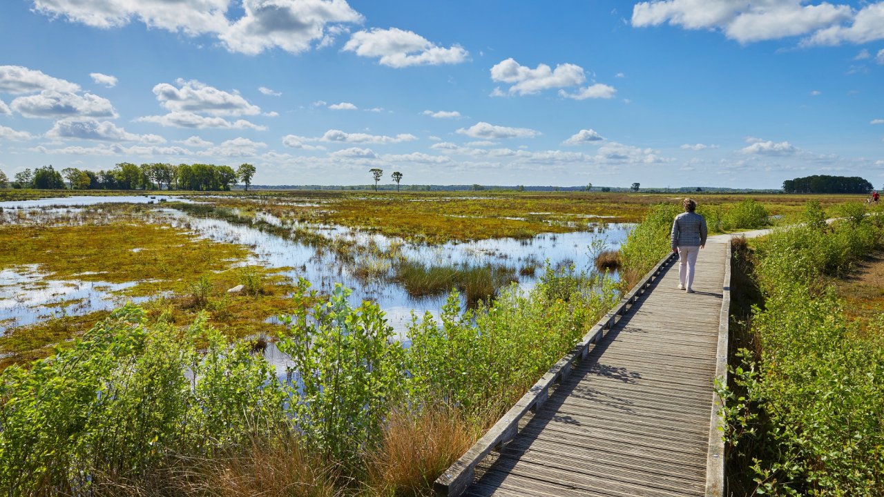 Traveldeal.nl Hotel & Restaurant Wesseling - Nederland - Drenthe - Dwingeloo