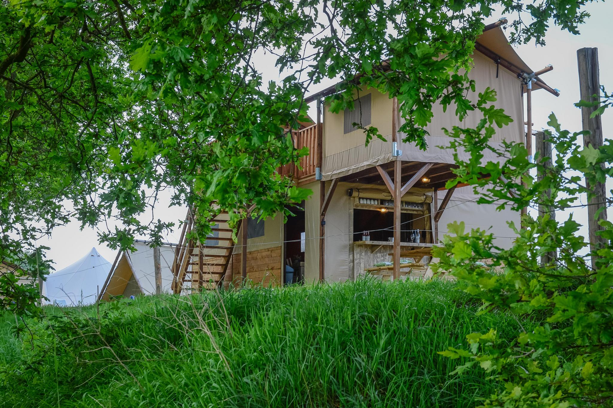 Bungalow.Net Treehouse tent at the Regge with private sanitary facilities | 6 people - Nederland - Zuna
