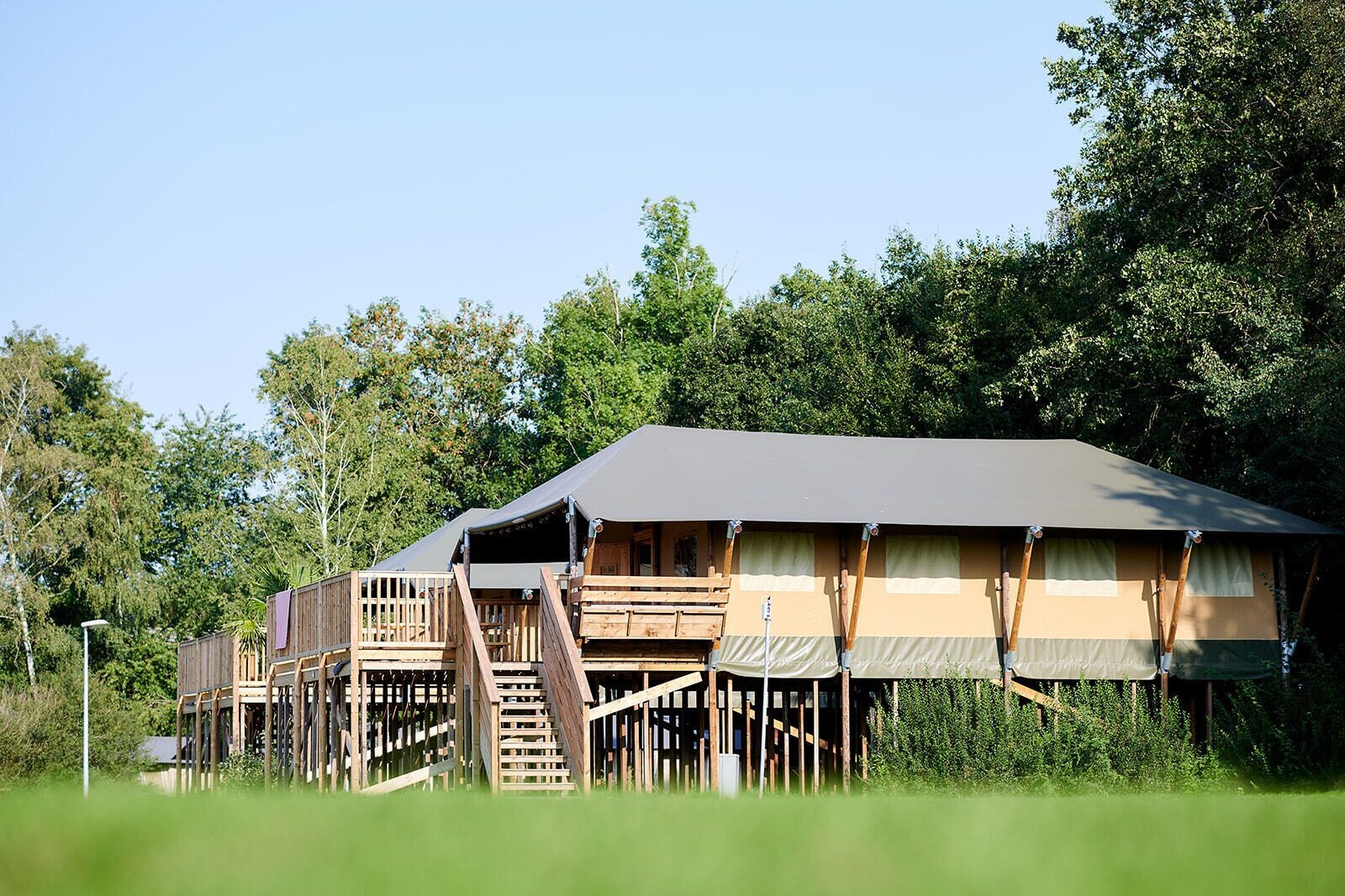EenVakantieHuisje.nl Safaricottage XL aan de Holterberg - 6 personen - Nieuw Heeten