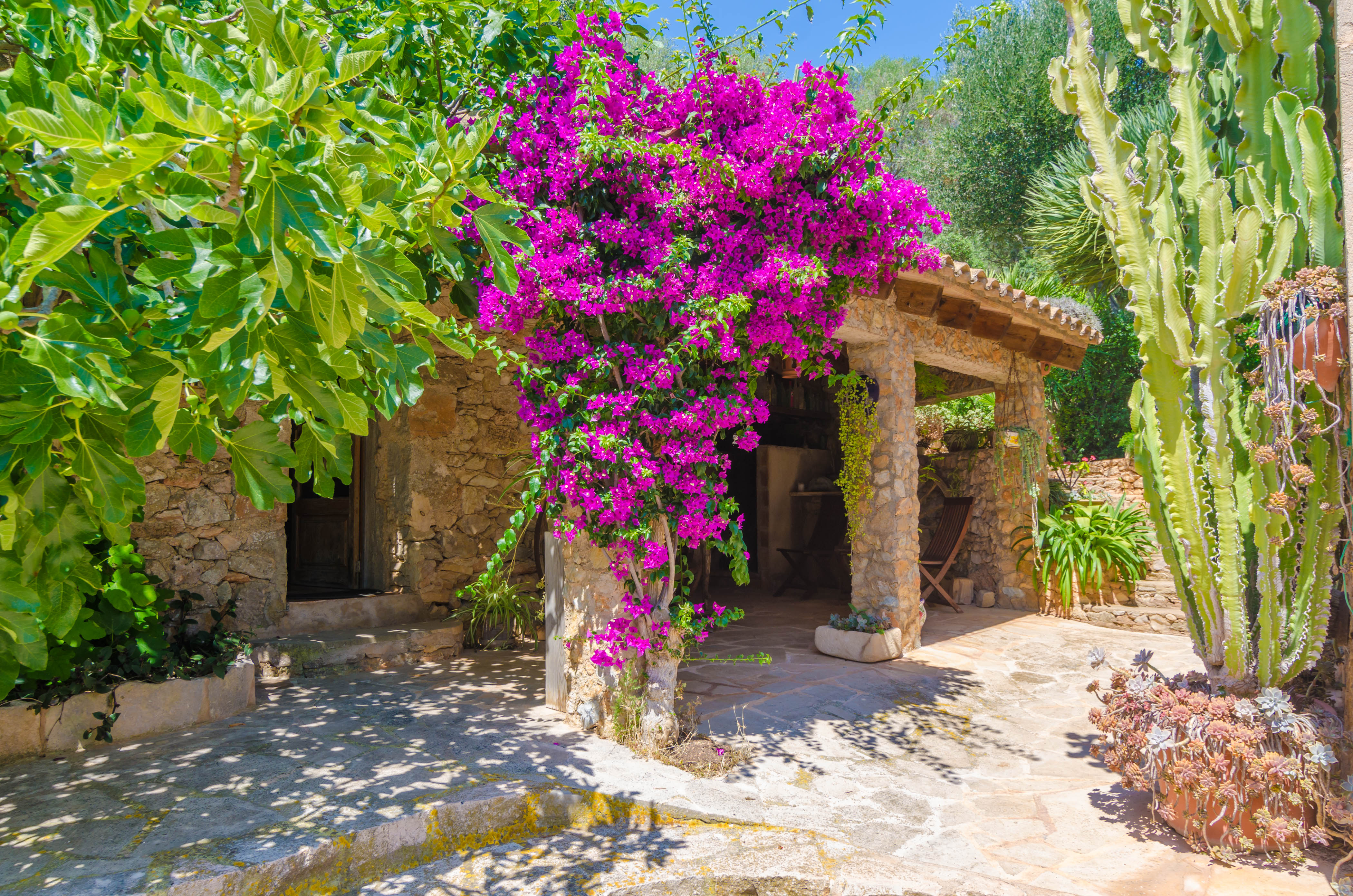 Bungalow.Net Cas Conco - Spanje - S Horta