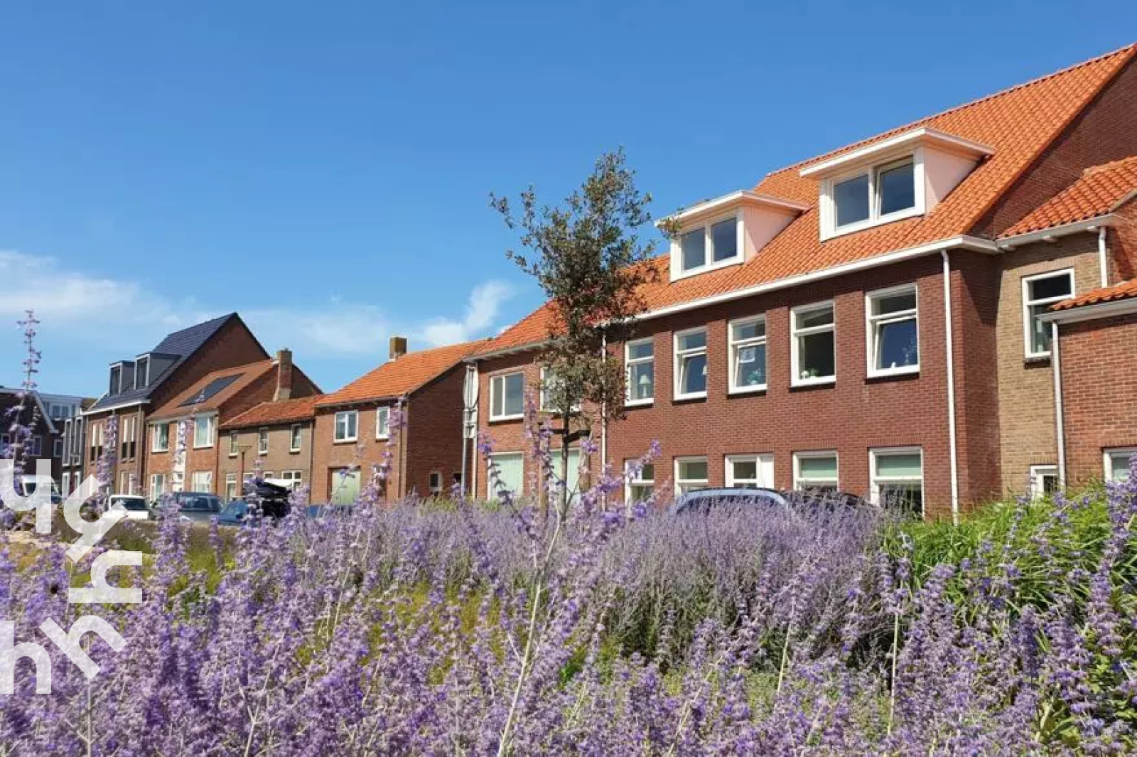Heerlijkehuisjes.nl ZE1421 - Nederland - Zoutelande