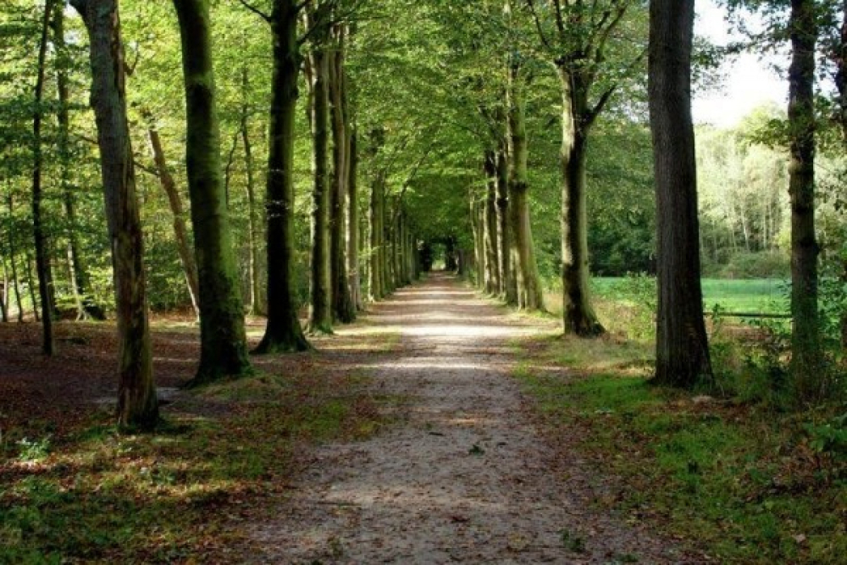 Heerlijkehuisjes.nl FR1022 - Nederland - Oudemirdum