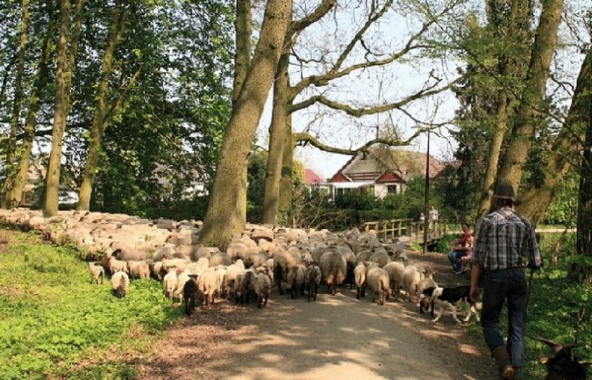 Heerlijkehuisjes.nl DG106 - Nederland - Winterswijk