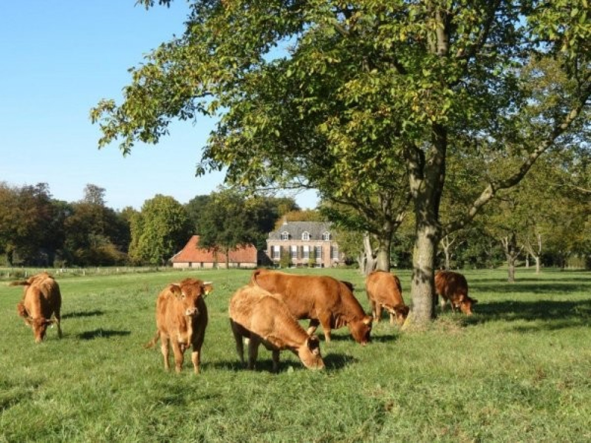 Heerlijkehuisjes.nl DG456 - Nederland - Hengelo-Gld