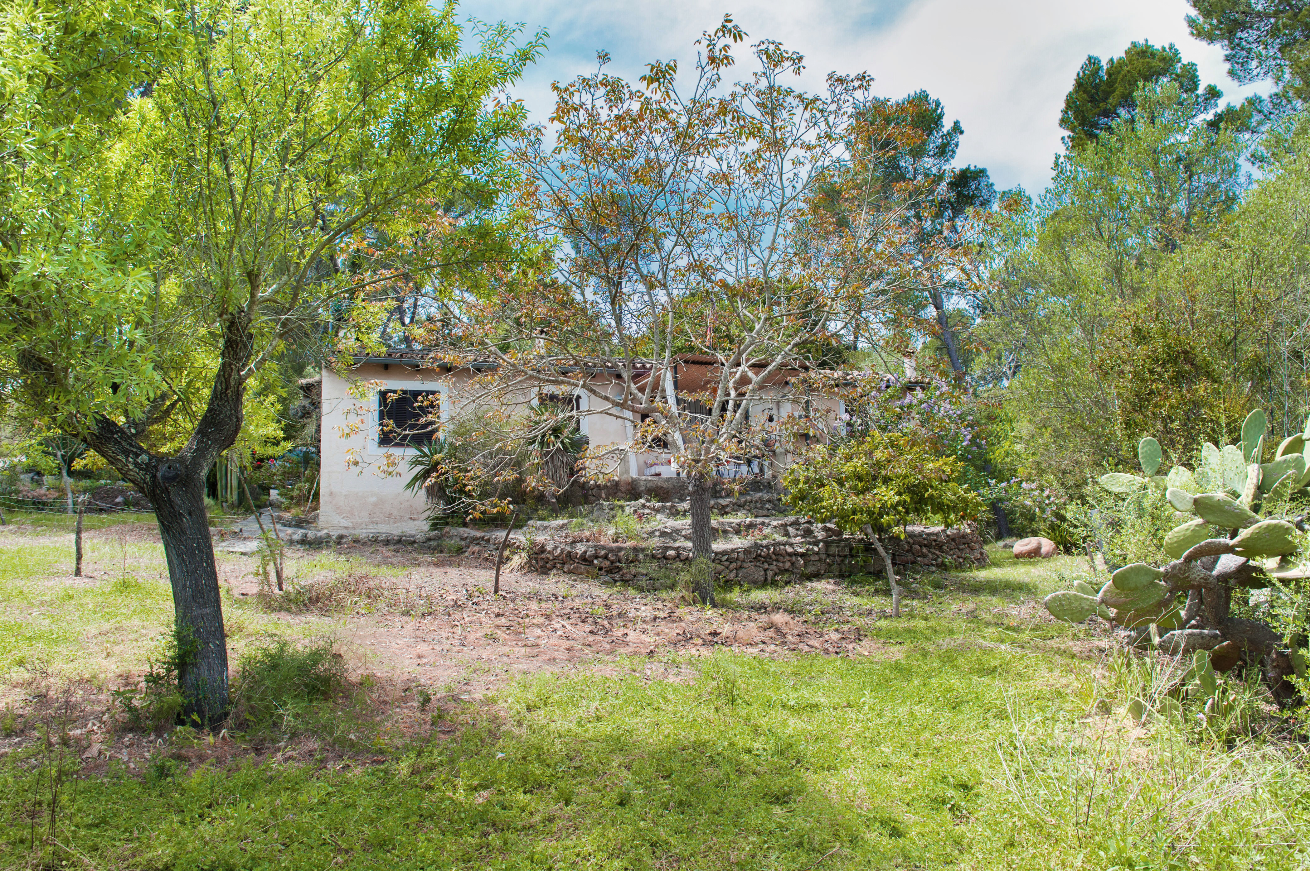 Bungalow.Net Can Pastera - Spanje - Campanet