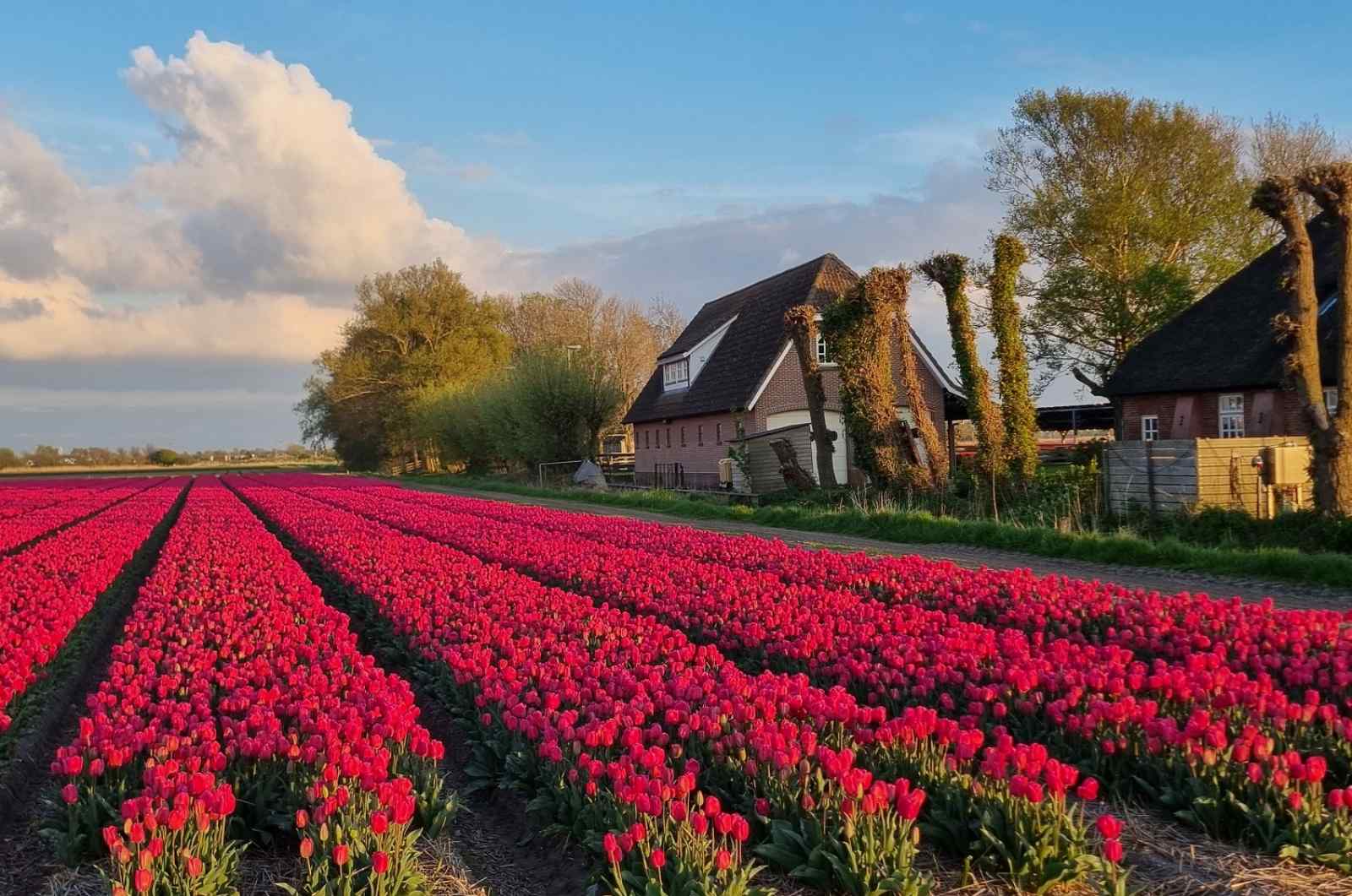 Heerlijkehuisjes.nl NH351 - Nederland - 't Zand