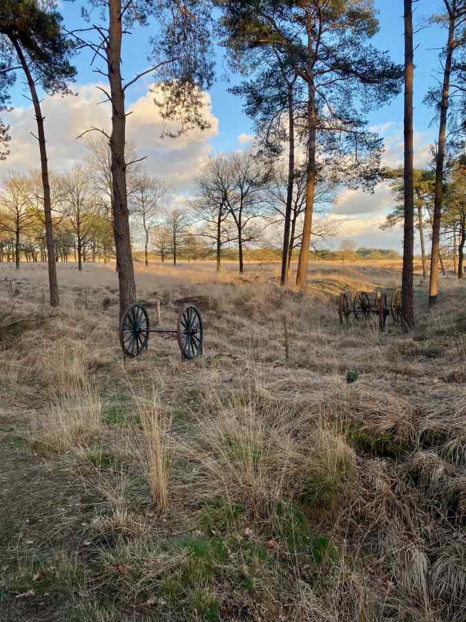 Heerlijkehuisjes.nl DG1531 - Nederland - Zorgvlied