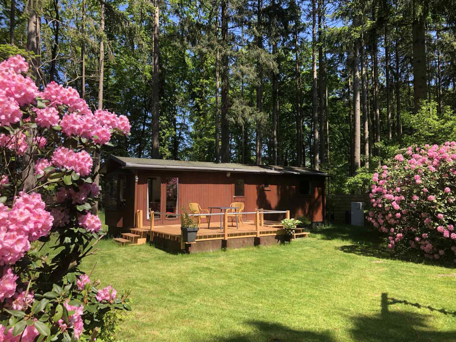 Heerlijkehuisjes.nl DG1545 - Nederland - Lochem