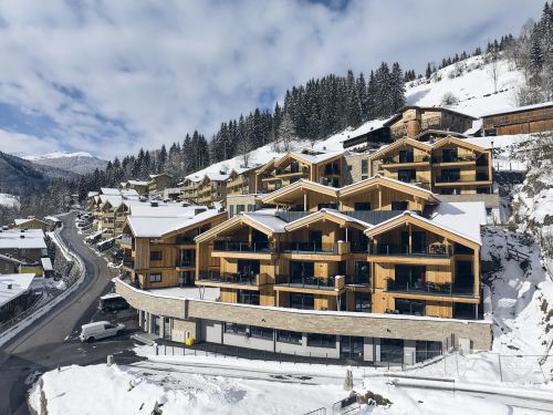 Chalet.nl Chalet-appartement AlpenParks Rehrenberg Dreams Plus - 6-8 personen - Oostenrijk - Skicircus Saalbach / Hinterglemm / Leogang / Fieberbrunn - Viehhofen (bij Saalbach)